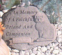 inmemorycat.jpg