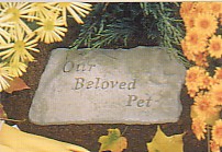 ourbelovedpet.jpg